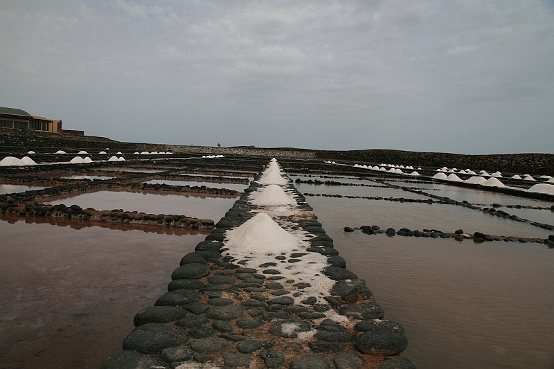 Kanary_2010 202